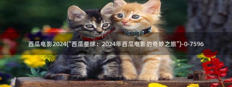 似锦免费观看西瓜影院